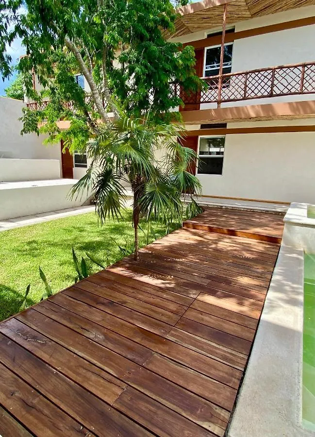 Casa Cielito Lindo Cozumel 호텔
